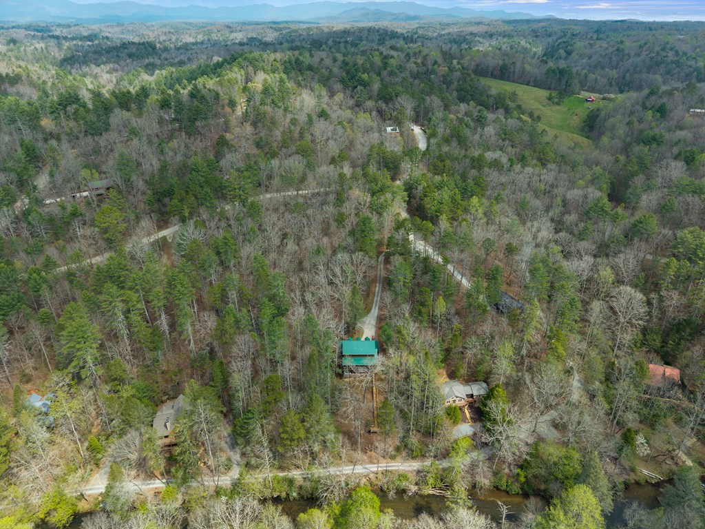 40 Graham Court Ellijay, GA 30540 - Photo 35 of 62 a view of a forest with a street