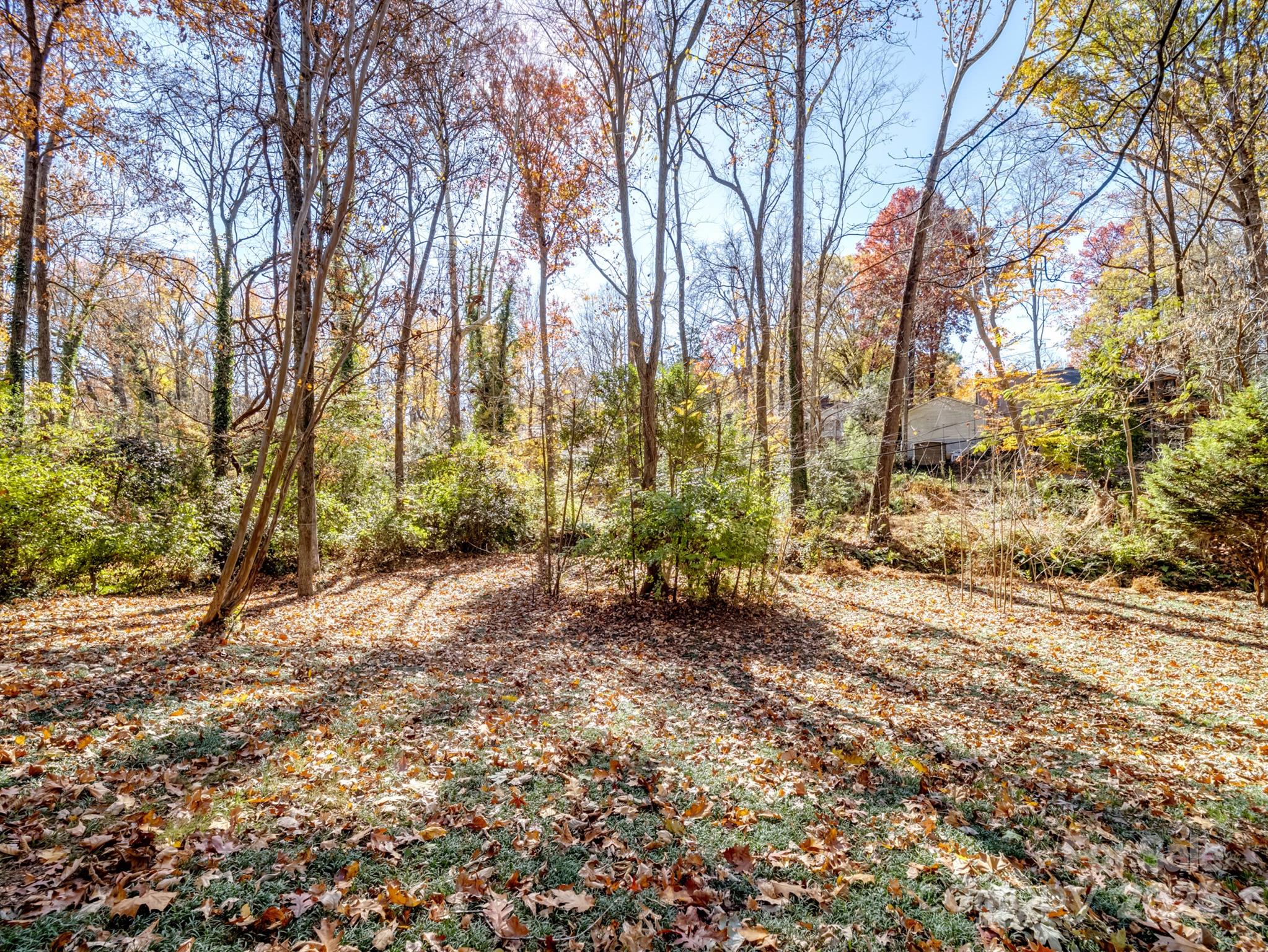 2111 Sagamore Road Charlotte, NC 28209 - Photo 44 of 48 a backyard of a house with lots of green space
