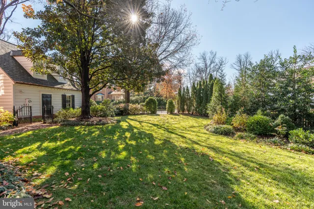 a view of yard with small space