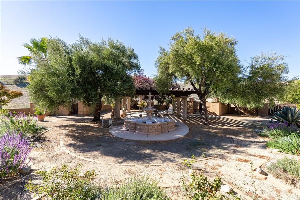 77620 Lowes Canyon Road San Miguel, CA 93451 - Photo 25 of 56 a view of a yard with plants and trees