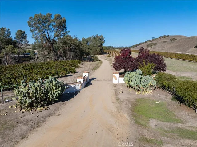 a view of a yard with large trees