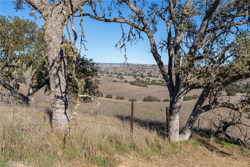 77620 Lowes Canyon Road San Miguel, CA 93451 - Photo 38 of 66 a view of a yard with large trees