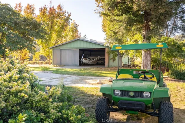 a view of a dry yard with a tree