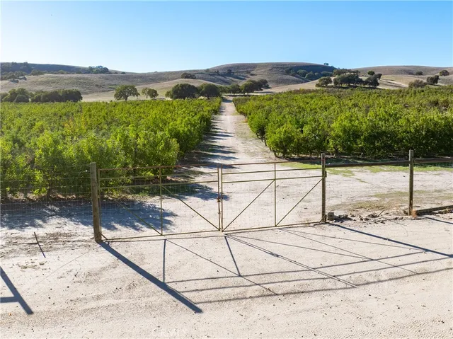 a view of a backyard of a house