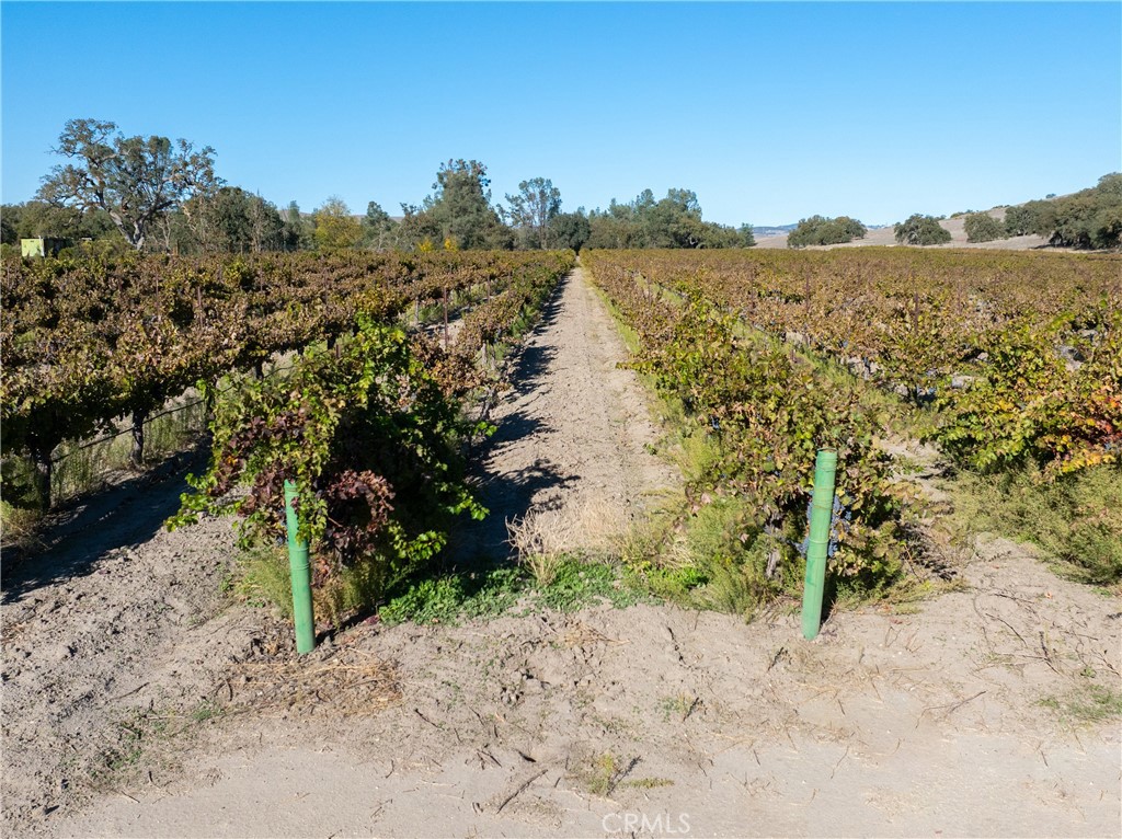 77620 Lowes Canyon Road San Miguel, CA 93451 - Photo 10 of 56 a view of lake with mountain