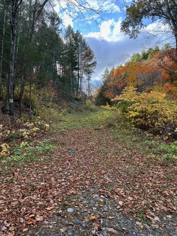$220,000 | 0 Missing Link Road, Springfield, VT 05156