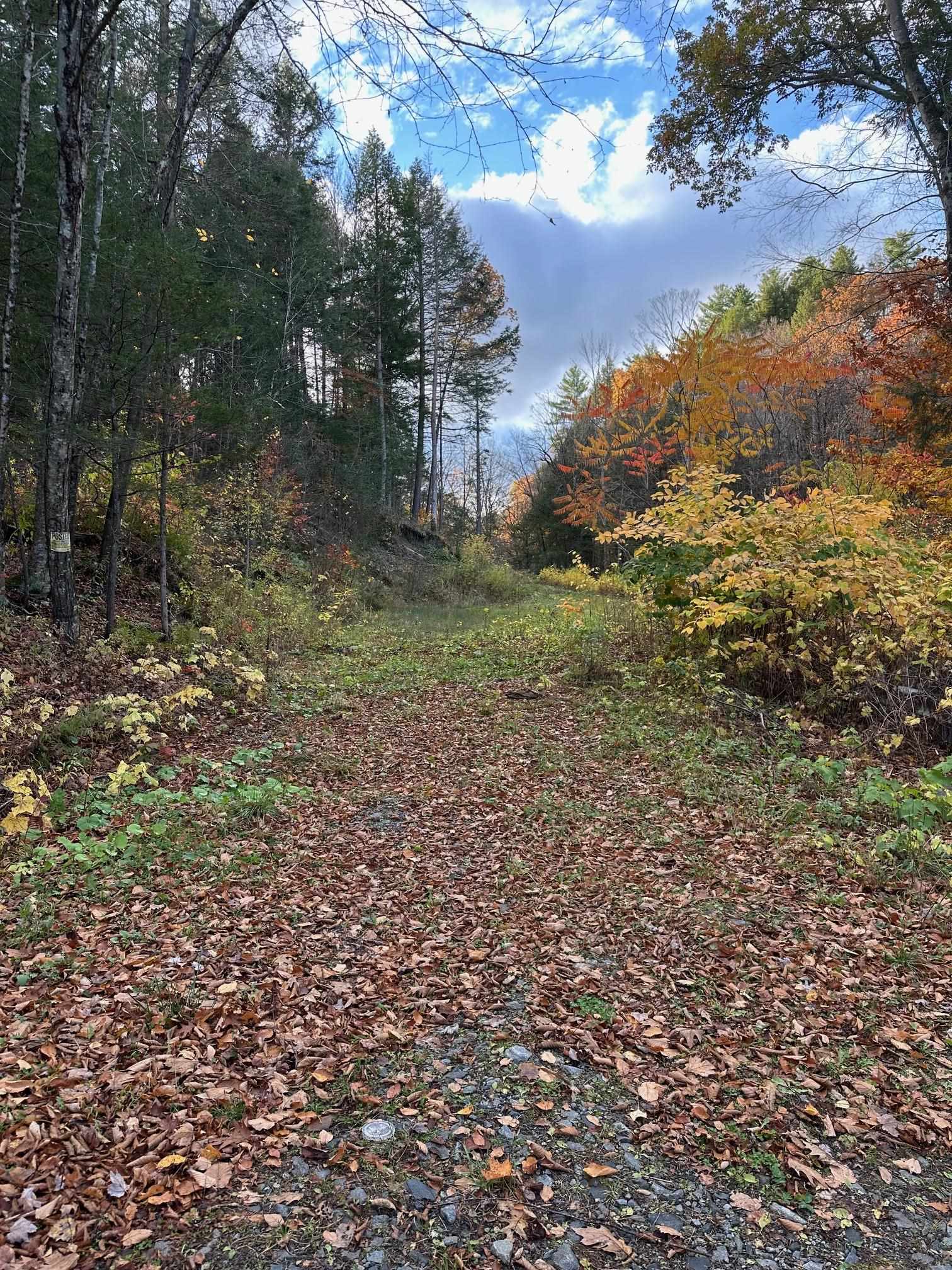 0 Missing Link Road Springfield, VT 05156 - Photo 2 of 3