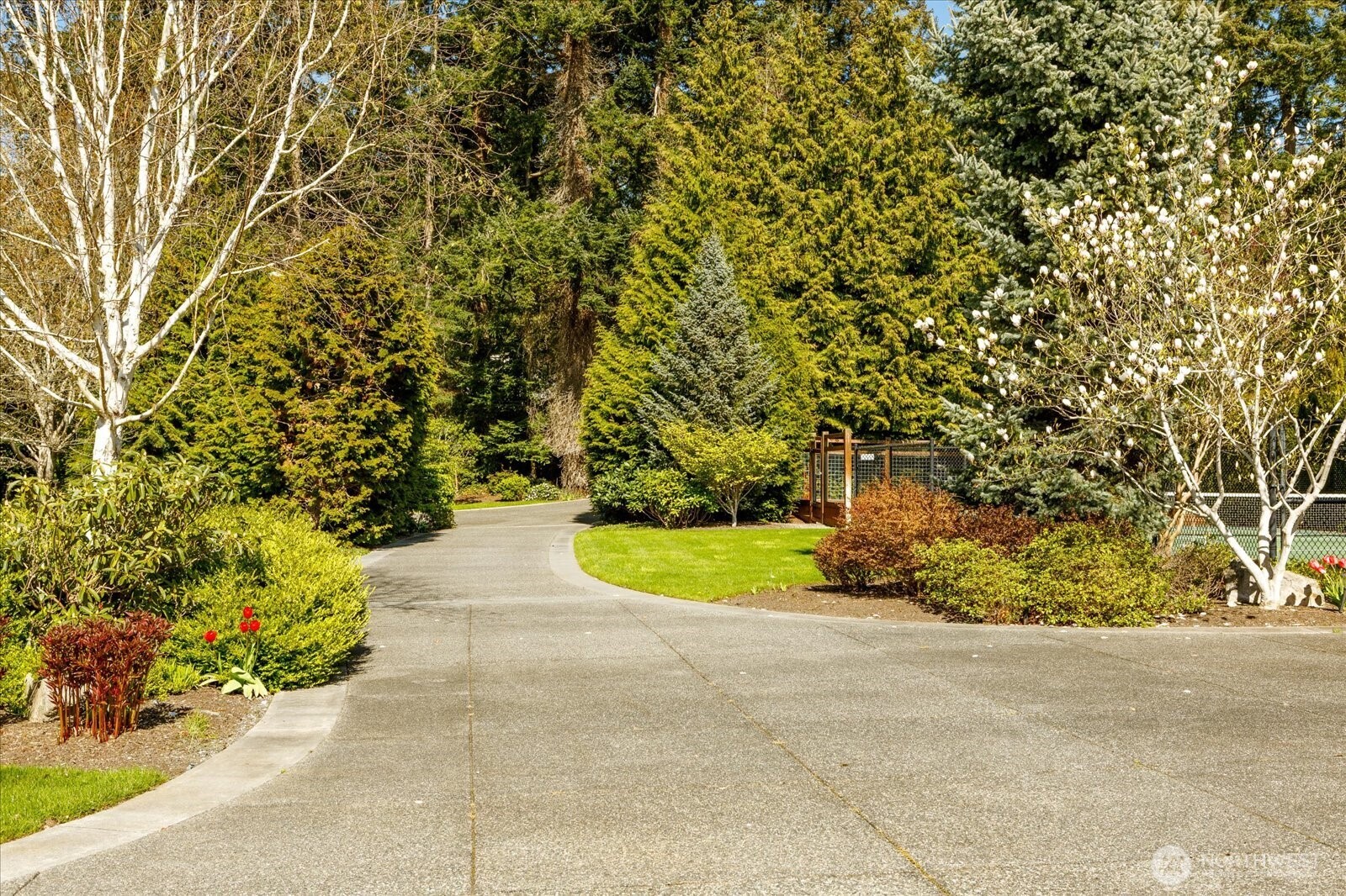 5848 Mutiny Bay Road Freeland, WA 98249 - Photo 12 of 40 a view of a yard with flower plants