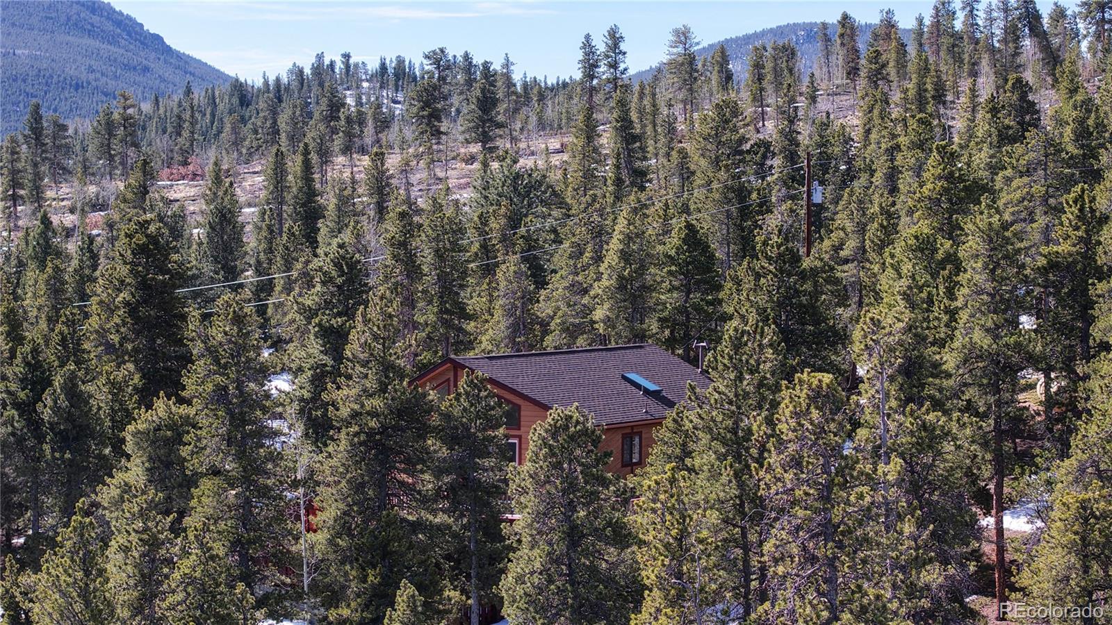 225 Rd P62 Bailey, CO 80421 - Photo 46 of 49 a view of a house with a yard and tree