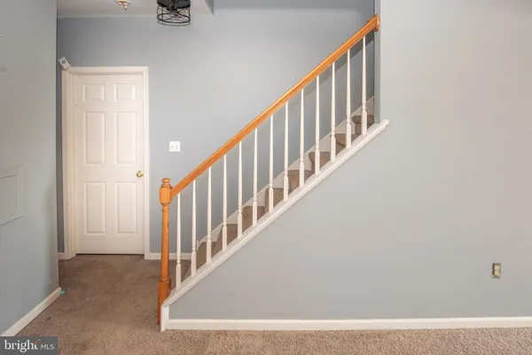 a view of a yard with plants and trees