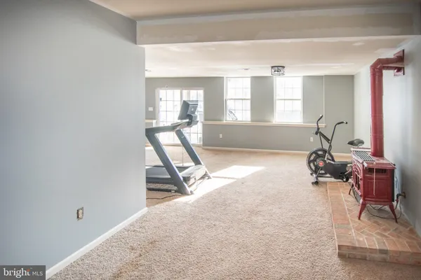 a view of a park with large trees