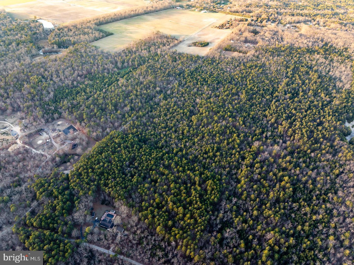 0 Butterworths Bogs Road Vincentown, NJ 08088 - Photo 2 of 7