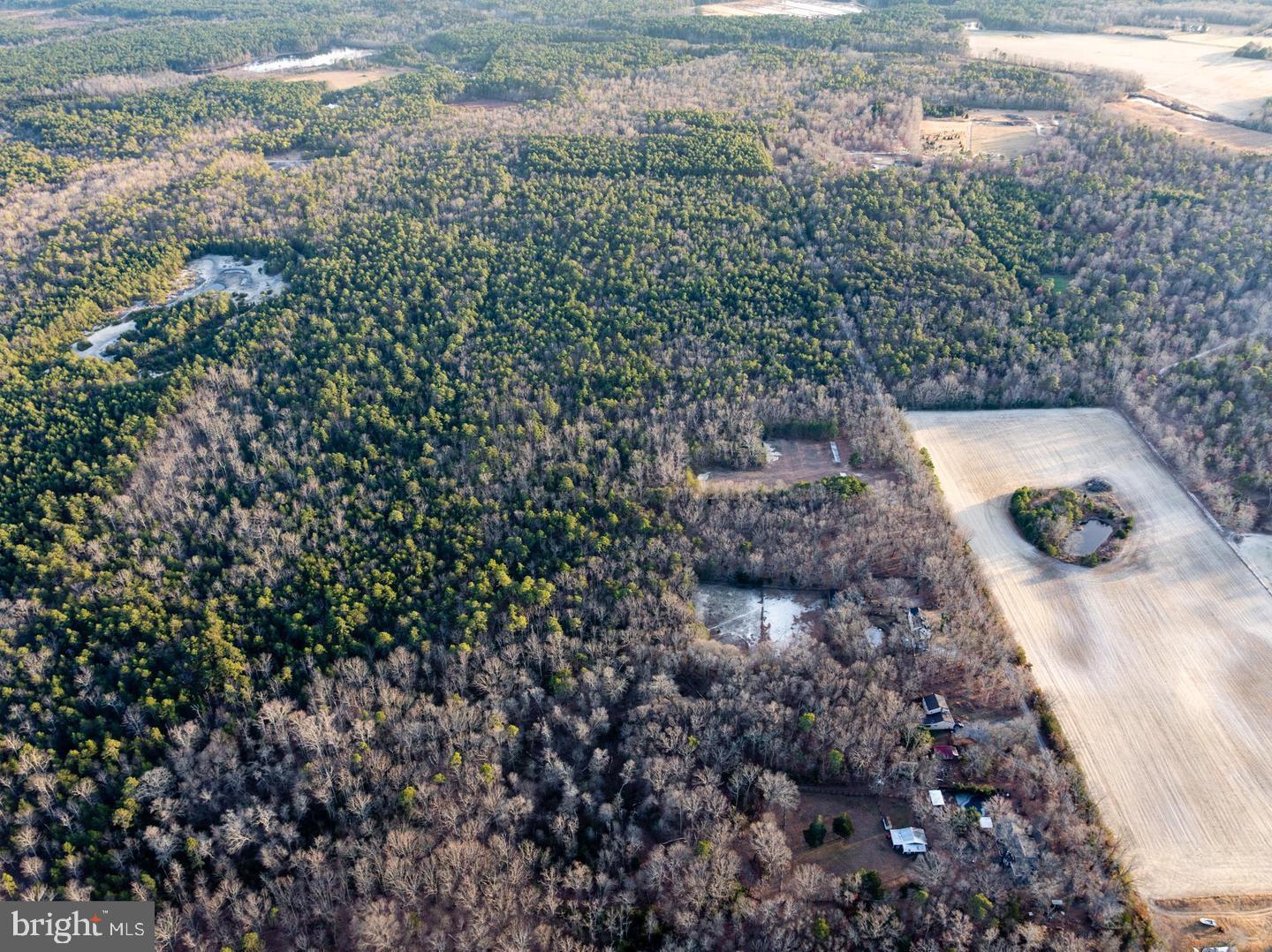 0 Butterworths Bogs Road Vincentown, NJ 08088 - Photo 6 of 7