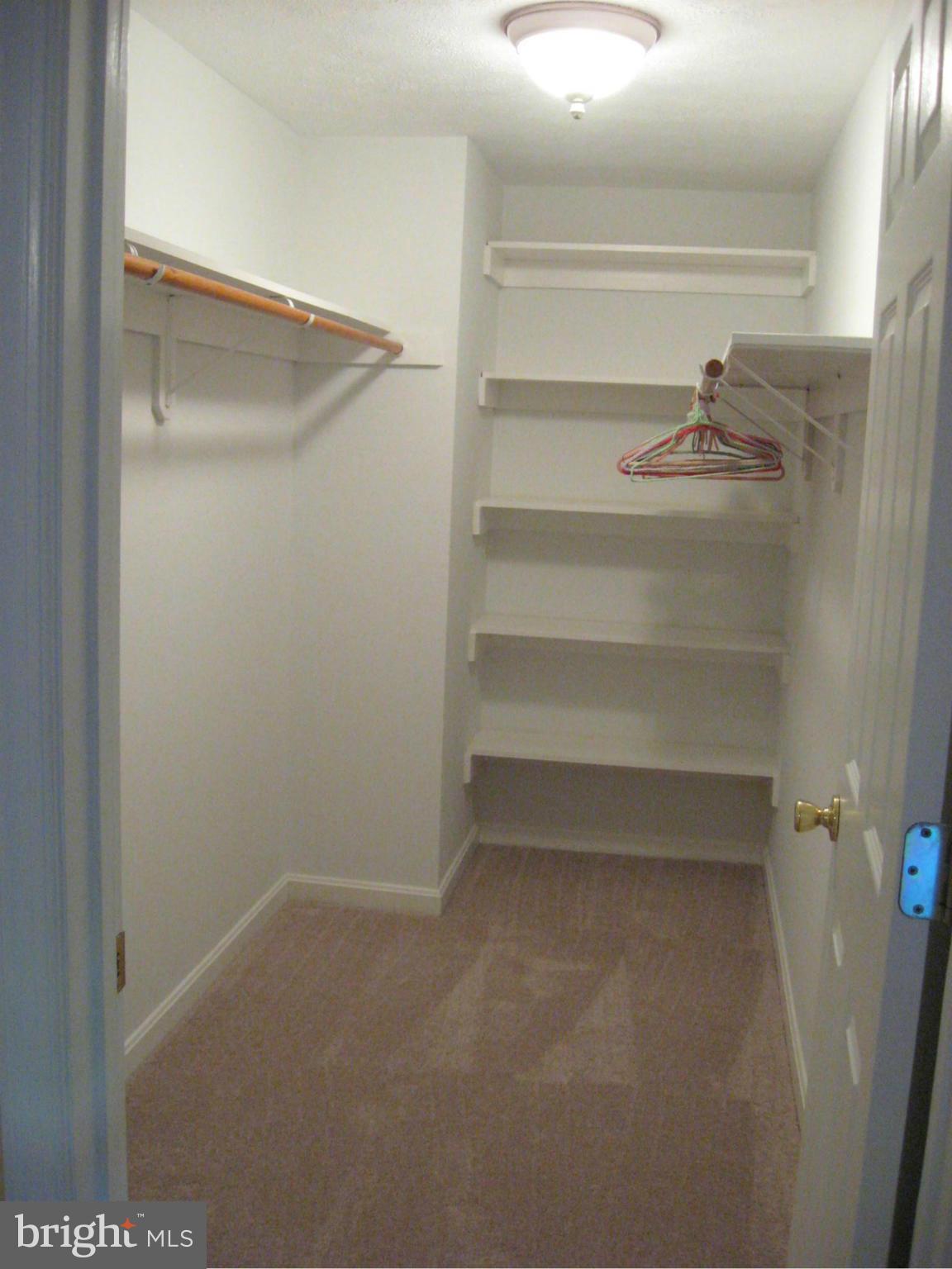 19699 North Snow Hill Manor Road Lexington Park, MD 20653 - Photo 19 of 29 Bedroom 4 - huge walk-in closet