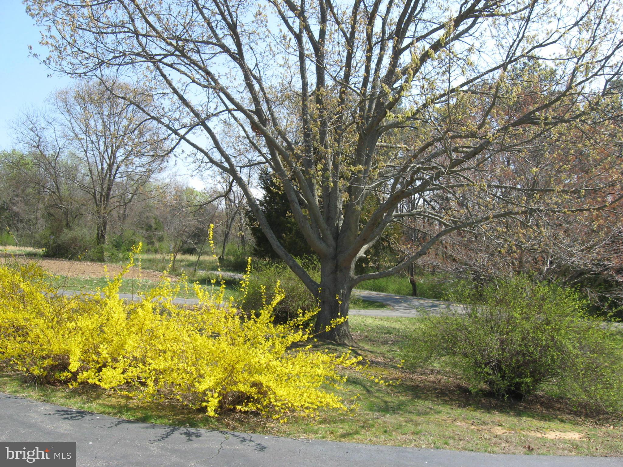 19699 North Snow Hill Manor Road Lexington Park, MD 20653 - Photo 25 of 29 circular driveway