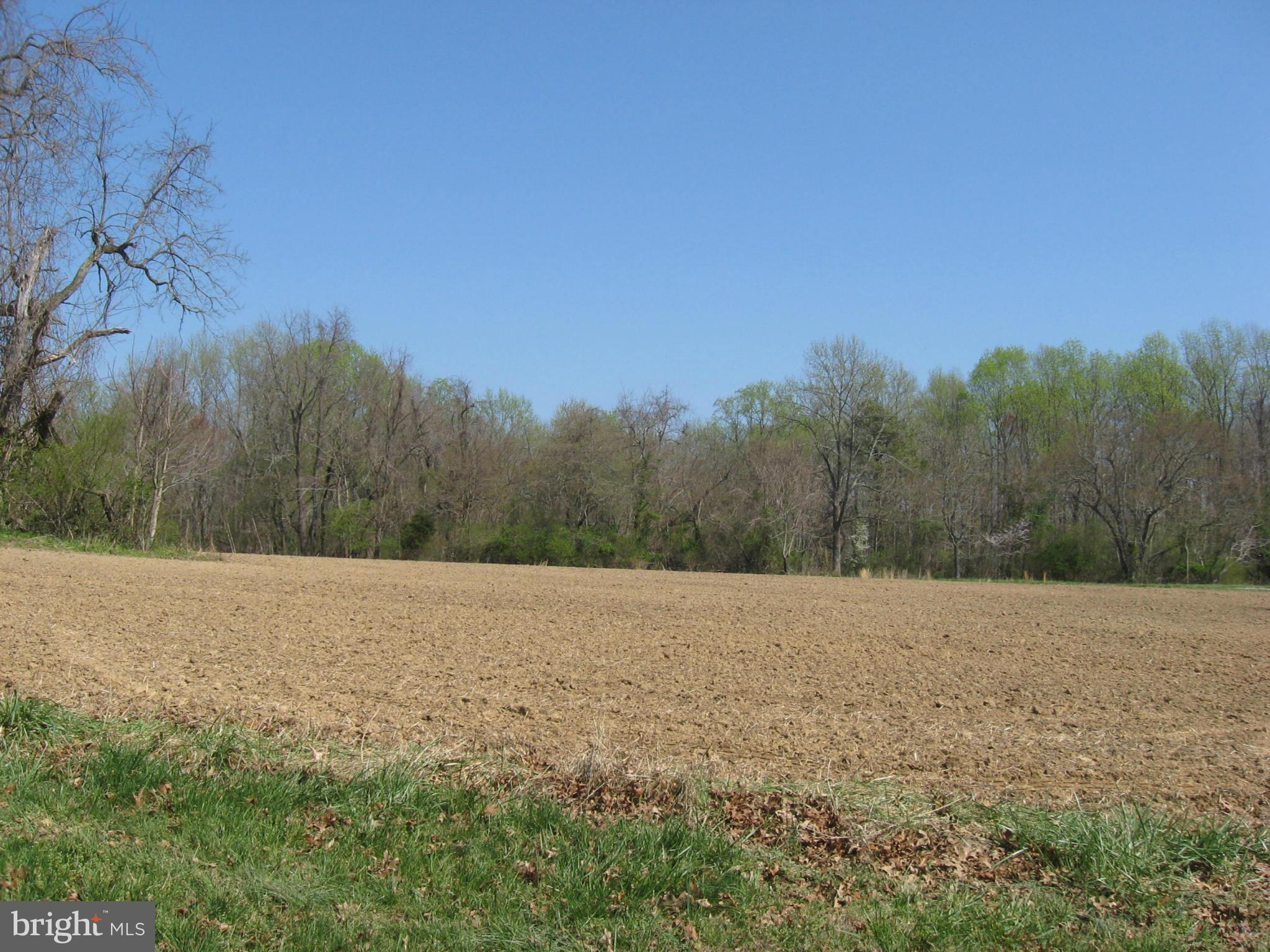 19699 North Snow Hill Manor Road Lexington Park, MD 20653 - Photo 26 of 29 Acreage being farmed (crops)