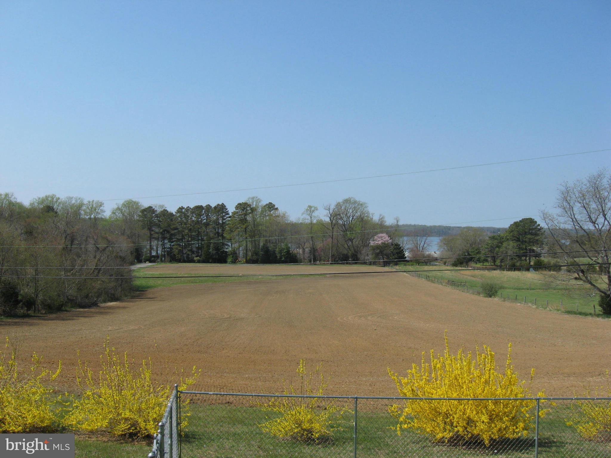 19699 North Snow Hill Manor Road Lexington Park, MD 20653 - Photo 4 of 29 8.49 acres - agricultural preservation