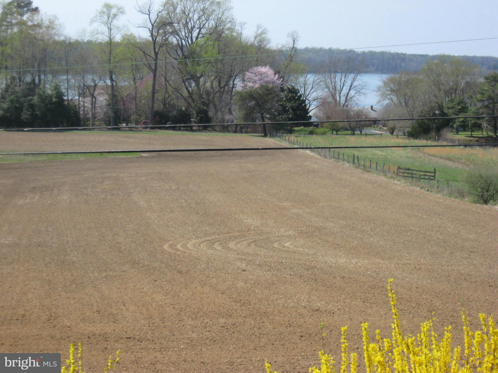 19699 North Snow Hill Manor Road Lexington Park, MD 20653 - Photo 5 of 29 8.49 acres-agricultural preservation w/waterview