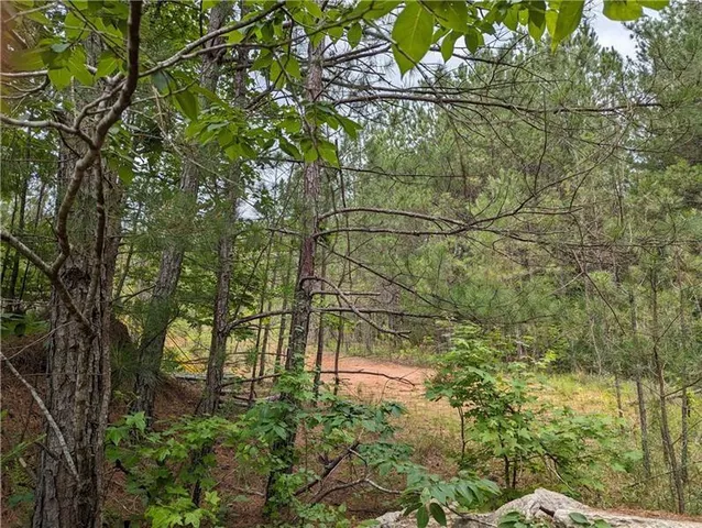 $695,000 | 7900 Downs Drive, Douglasville, GA 30135