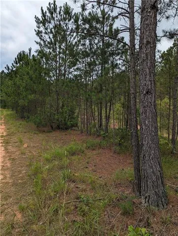 $695,000 | 7900 Downs Drive, Douglasville, GA 30135