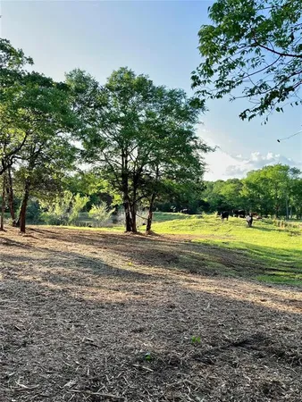 a view of a yard with a tree