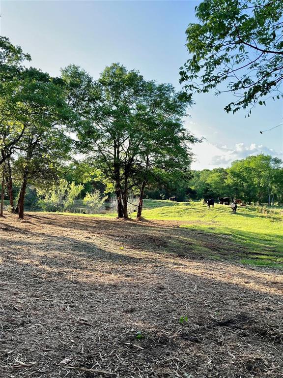 601 Highway 175 Eustace, TX 75124 - Photo 5 of 11 a view of a swimming pool with a yard