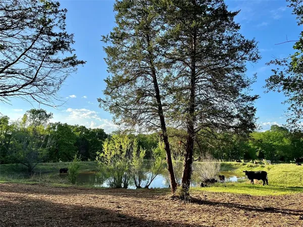 a view of an ocean from a yard