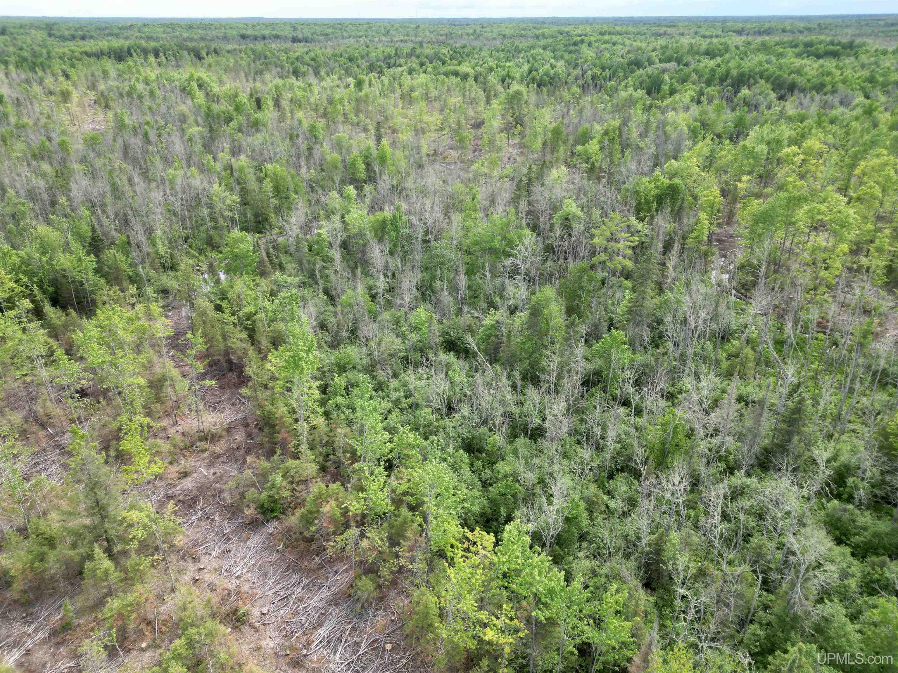 3601 Cr444 Road Rock, MI 49880 - Photo 69 of 78