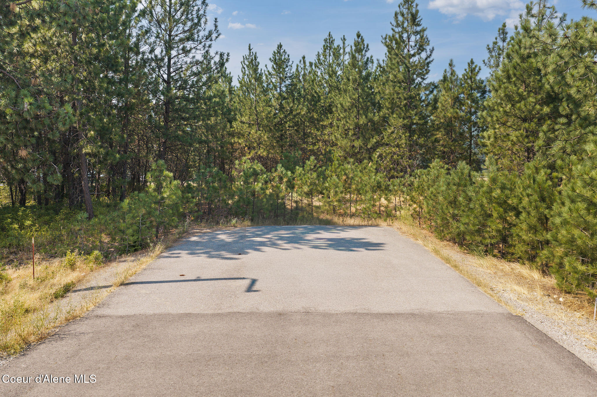 53 West Highway 53 Rathdrum, ID 83858 - Photo 14 of 26 Vacant Land