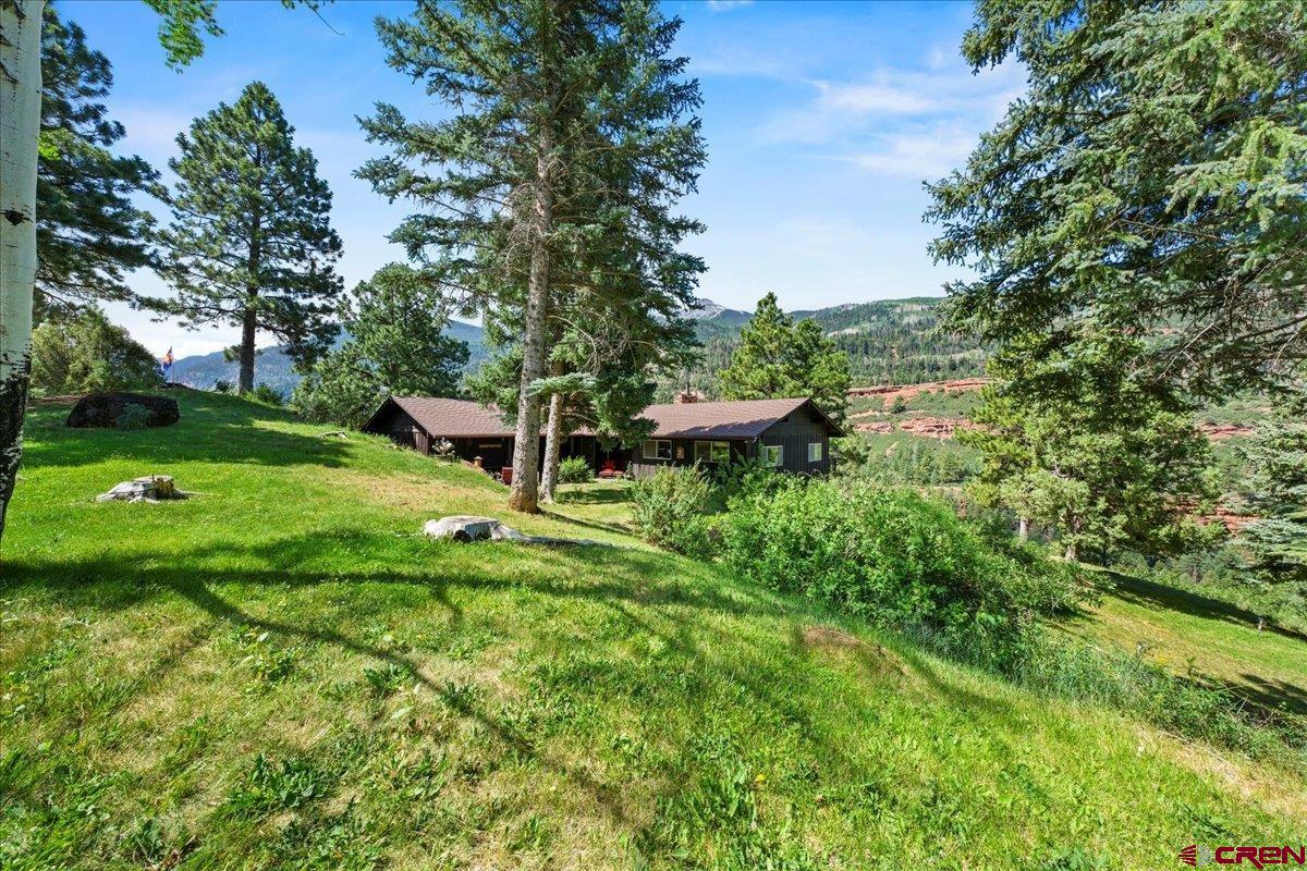 189 Red Stone Road Ridgway, CO 81432 - Photo 4 of 44