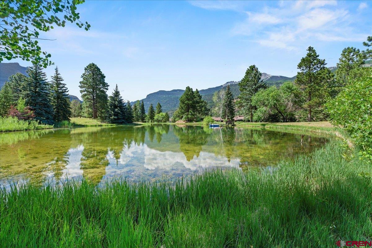 189 Red Stone Road Ridgway, CO 81432 - Photo 43 of 44
