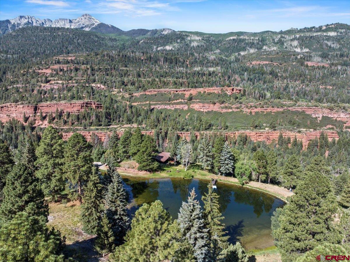 189 Red Stone Road Ridgway, CO 81432 - Photo 7 of 44