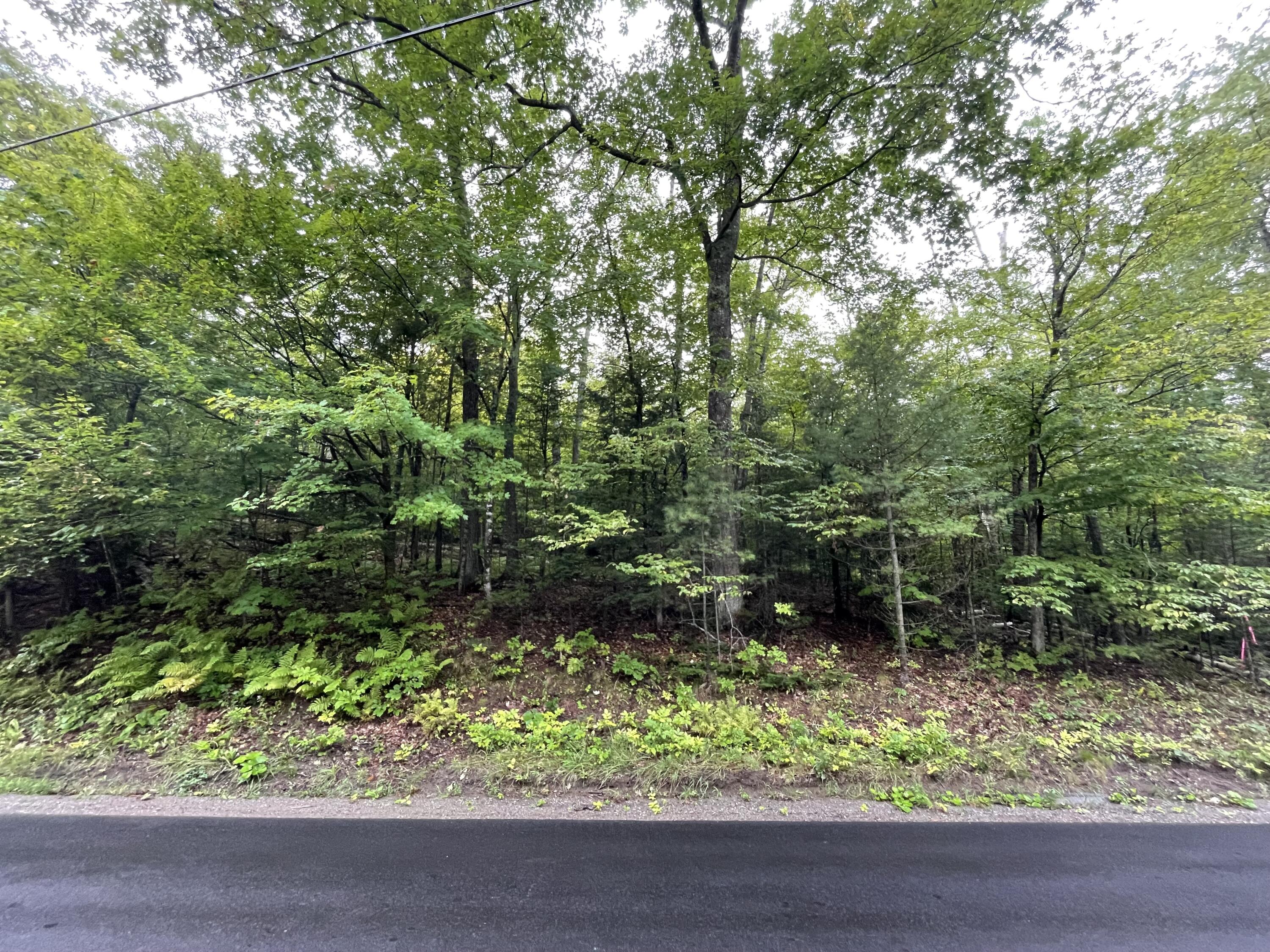 0 Pleasant Ridge Road, Unit PARCEL C Concord Township, ME 04920 - Photo 2 of 3