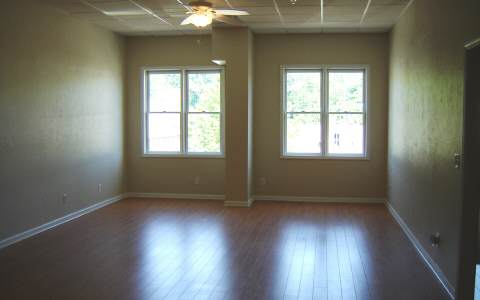 500 East Main Street, Unit 308 Blue Ridge, GA 30513 - Photo 6 of 12 an empty room with wooden floor and windows