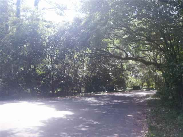 1319 Tom Still Road Tallahassee, FL 32305 - Photo 1 of 7 Gallery Image 1