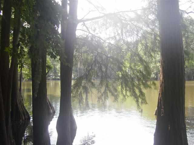 1319 Tom Still Road Tallahassee, FL 32305 - Photo 2 of 7 Gallery Image 2