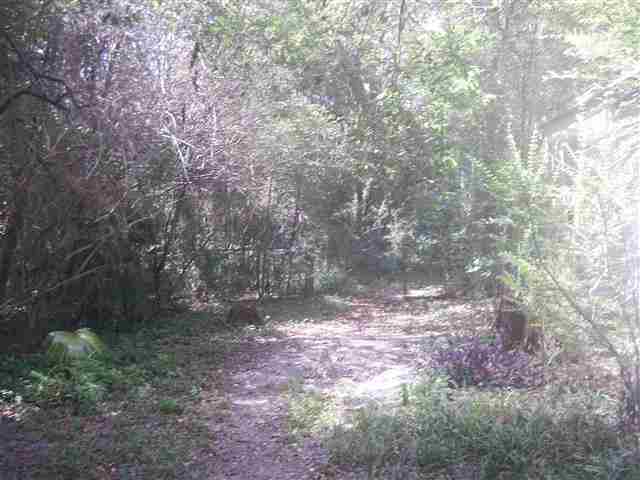 1319 Tom Still Road Tallahassee, FL 32305 - Photo 3 of 7 Gallery Image 3