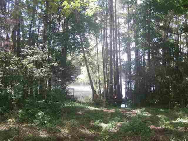 1319 Tom Still Road Tallahassee, FL 32305 - Photo 4 of 7 Gallery Image 4