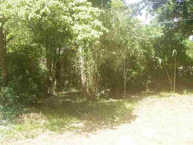 1319 Tom Still Road Tallahassee, FL 32305 - Photo 5 of 7 Gallery Image 5