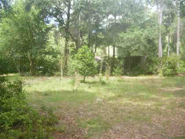 1319 Tom Still Road Tallahassee, FL 32305 - Photo 6 of 7 Gallery Image 6