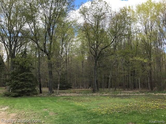 5883 Reynolds Road Imlay City, MI 48444 - Photo 23 of 24 IMG_7820.JPG
