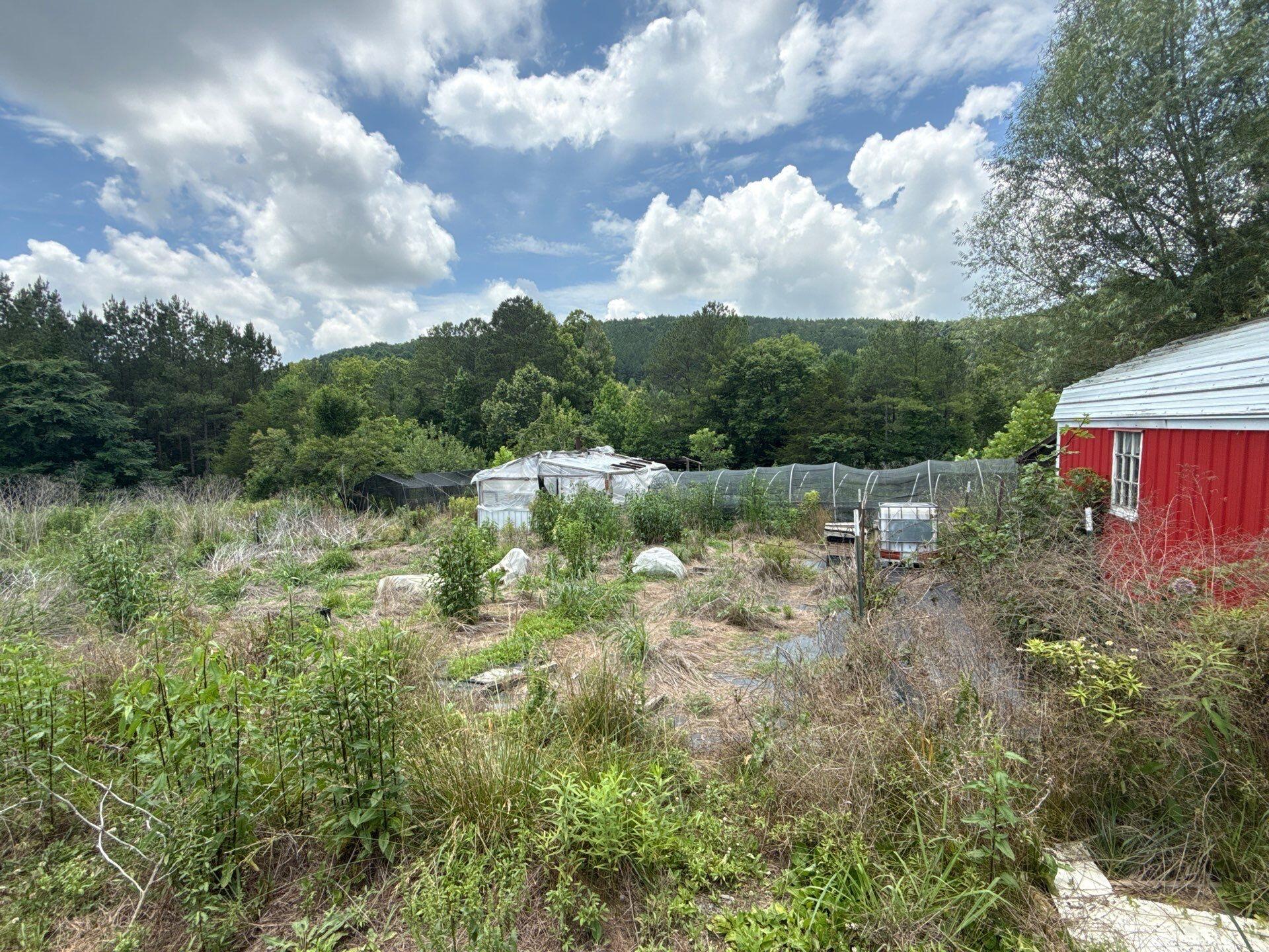3804 Redman Lane Decatur, TN 37322 - Photo 19 of 33 project_107246054_06092026_1752(1)
