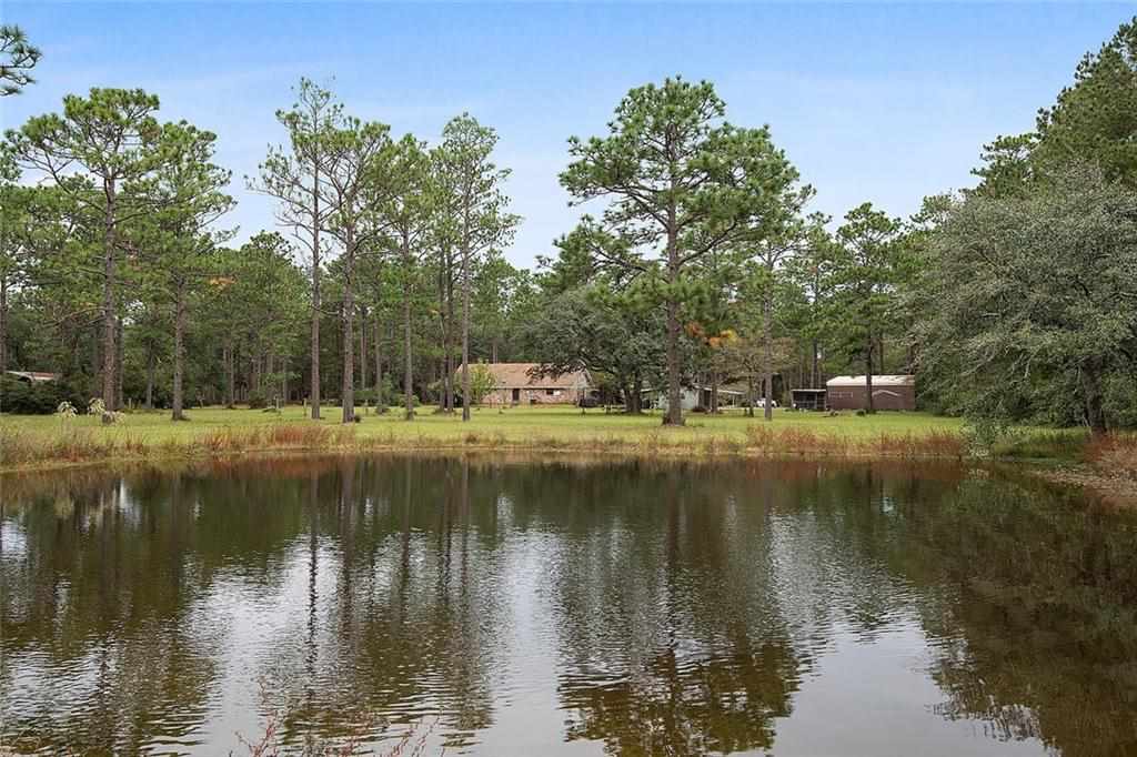 79355 Delaune Road Folsom, LA 70437 - Photo 19 of 22 Gallery Image 19