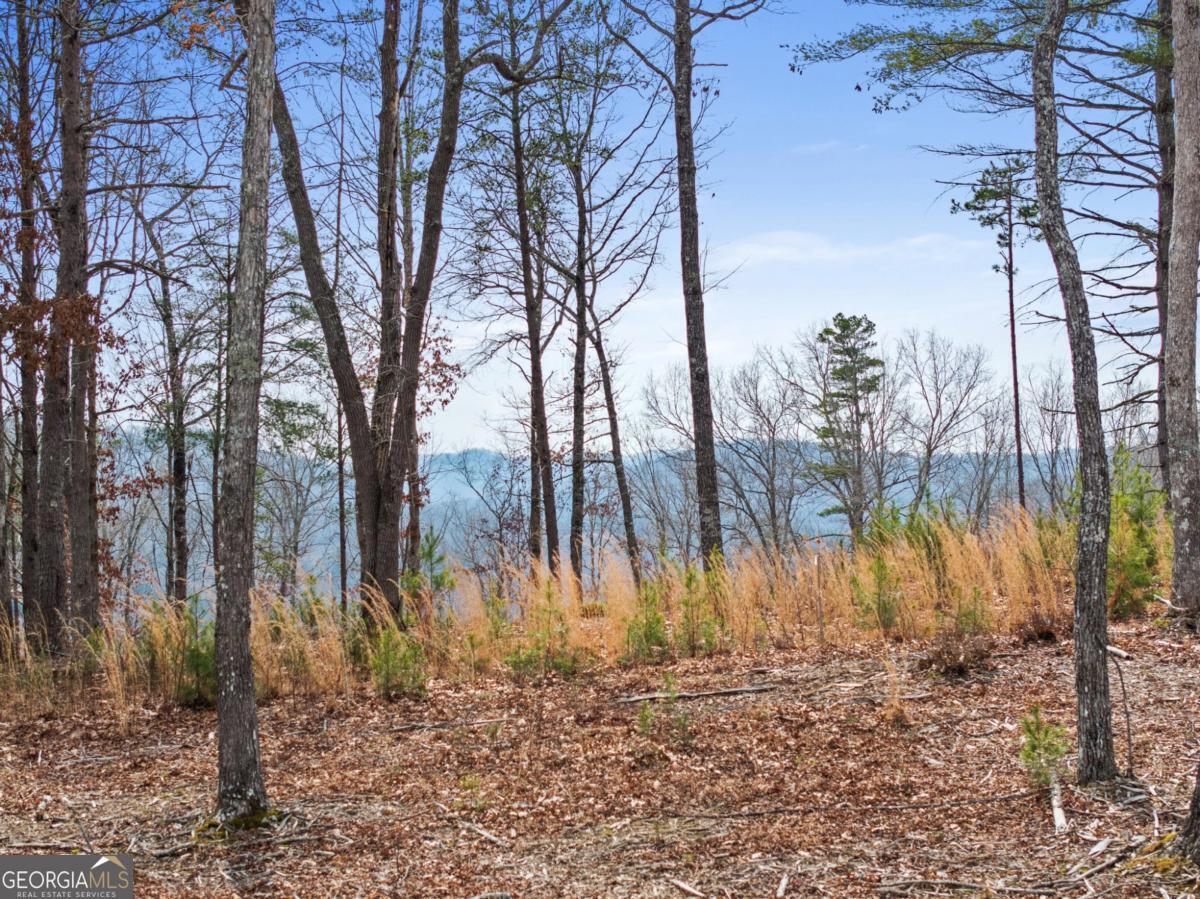 Lot 162 Ridges Of Blue Ridge Morganton, GA 30560 - Photo 12 of 16 a backyard of a house with large trees