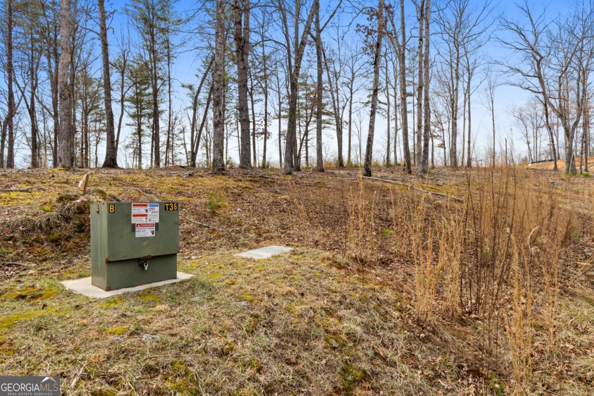 Lot 162 Ridges Of Blue Ridge Morganton, GA 30560 - Photo 15 of 16 a view of a outdoor space