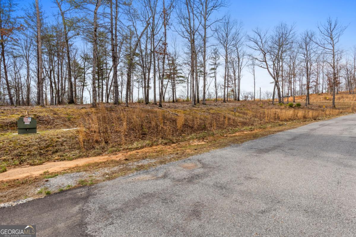 Lot 162 Ridges Of Blue Ridge Morganton, GA 30560 - Photo 16 of 16 a view of open space with trees