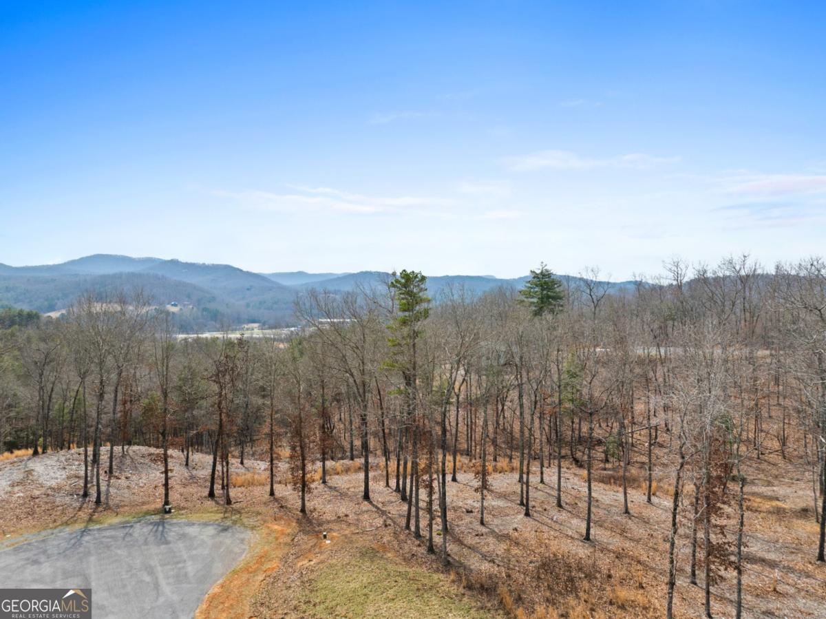 Lot 162 Ridges Of Blue Ridge Morganton, GA 30560 - Photo 3 of 16 a view of mountain view with lots of trees in the background