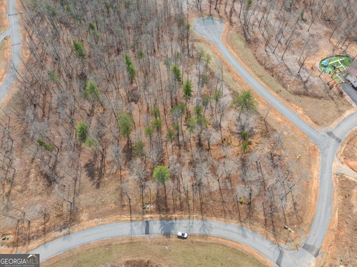 Lot 162 Ridges Of Blue Ridge Morganton, GA 30560 - Photo 4 of 16 a view of yard