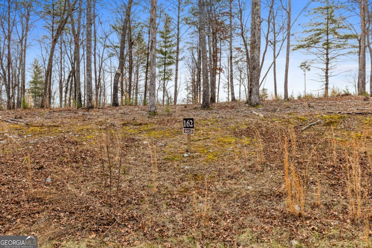 Lot 162 Ridges Of Blue Ridge Morganton, GA 30560 - Photo 6 of 16 a view of large trees with lots of trees