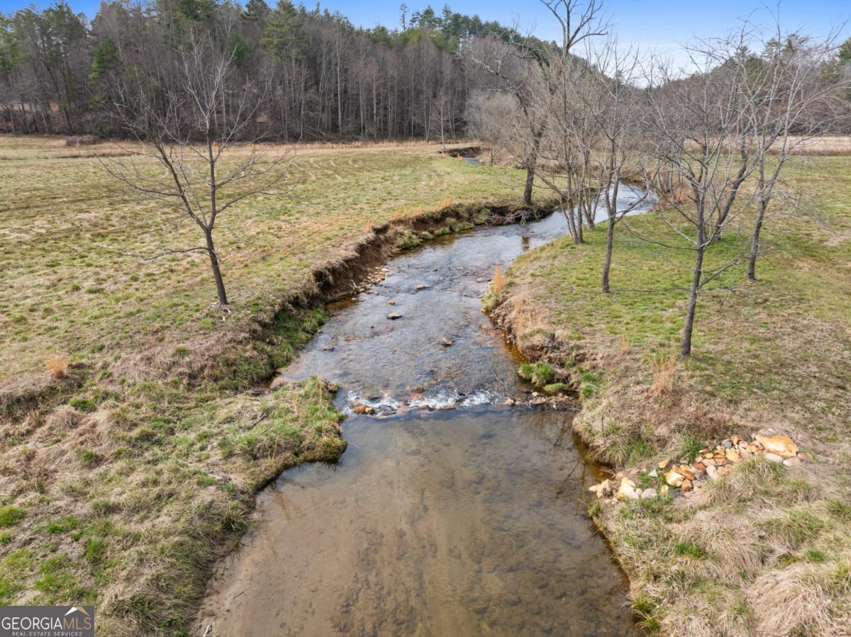 Lot 162 Ridges Of Blue Ridge Morganton, GA 30560 - Photo 8 of 16 a view of a yard with an trees